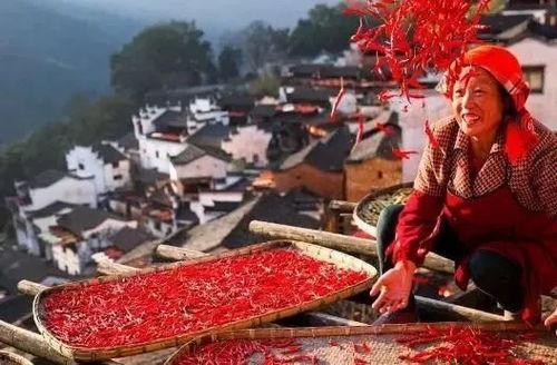 今日农村爆料大全最新,今日农村爆料大全深度解析 第1张 今日农村爆料大全最新,今日农村爆料大全深度解析 第1张