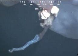 妖怪最新爆料视频大全在线观看,神秘世界一网打尽 第1张 妖怪最新爆料视频大全在线观看,神秘世界一网打尽 第1张